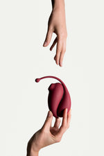 Adrien Lastic Inspiration Clitoral Suction Stimulator and Vibrating Egg- App enabled